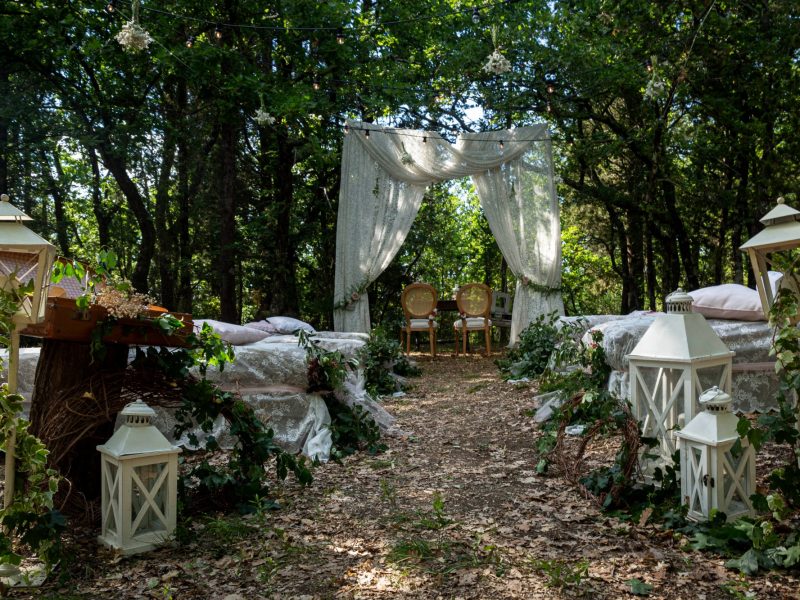 A symbolic wedding in the woods